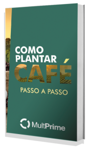 Como plantar café - Passo a passo